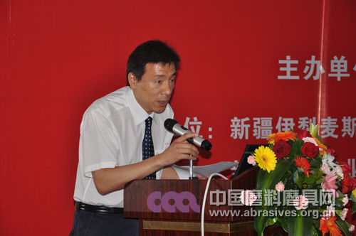 2011年中國綠碳化硅行業高峰論壇成功召開
