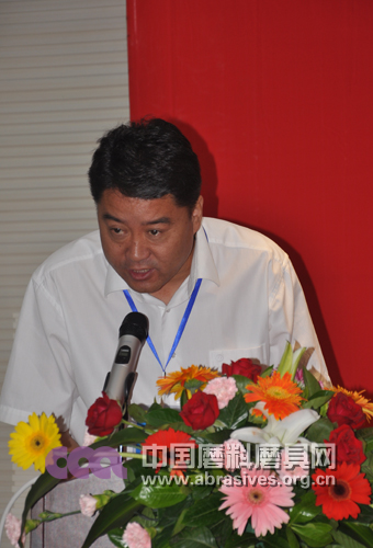 2011年中國綠碳化硅行業高峰論壇成功召開