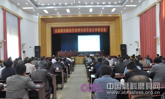 專家面對面直陳行業發展形勢  同仁真誠溝通共望磨料磨具未來——行業大會分組討論大會