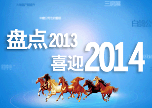 2013行業史記