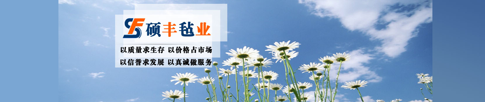 南宮市碩豐氈業(yè)有限公司