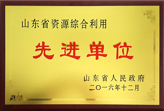 圣泉集團(tuán)喜獲“山東省資源綜合利用先進(jìn)單位”榮譽(yù)稱號