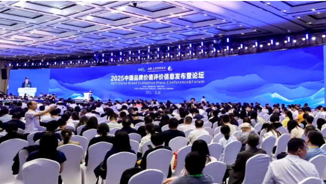 52.43 億元！圣泉集團榮登2025中國品牌價值評價信息榜單